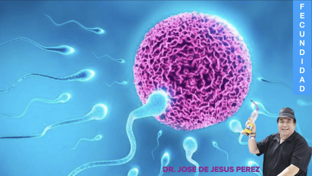 FECUNDIDAD por Dr. Jose De Jesus Perez